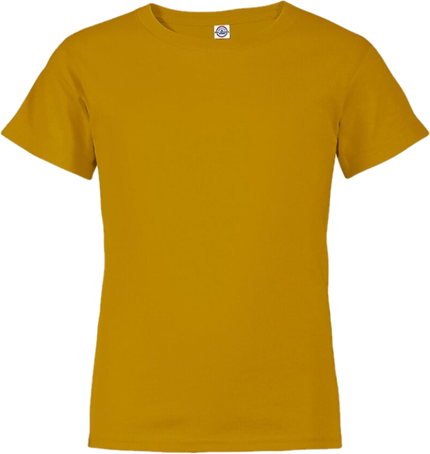 11736 026  YOUTH-SHORT SLEEVE TEE GINGER